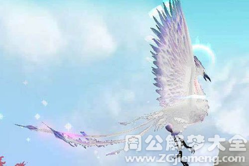 孕妇梦见白凤凰 孕妇梦见白凤凰