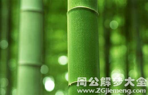孕妇梦见竹子 孕妇梦见竹子