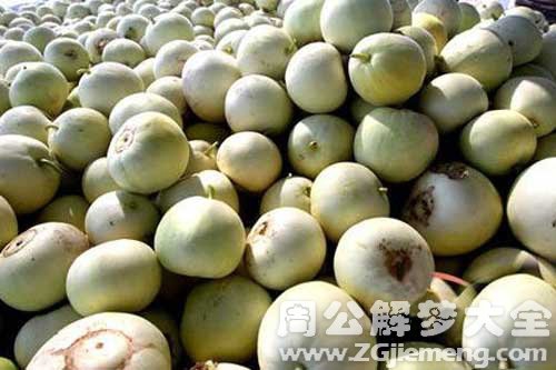 孕妇梦见大甜瓜 孕妇梦见大甜瓜