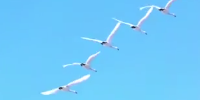 梦见死人了是什么兆头 梦见死人了是什么兆头