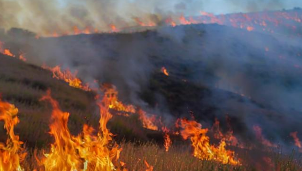 梦见大火烧山 梦见大火烧山