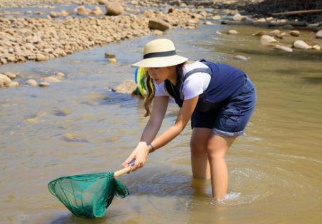 梦见捞鱼 梦见捞鱼