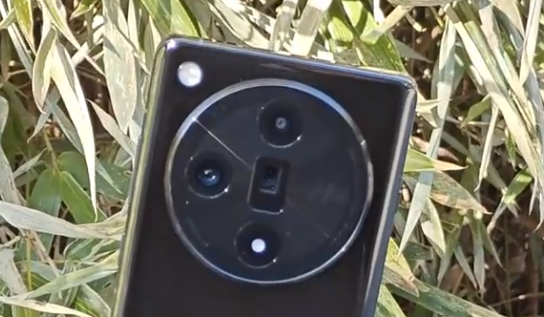 梦见手机丢了是什么意思 梦见手机丢了是什么意思