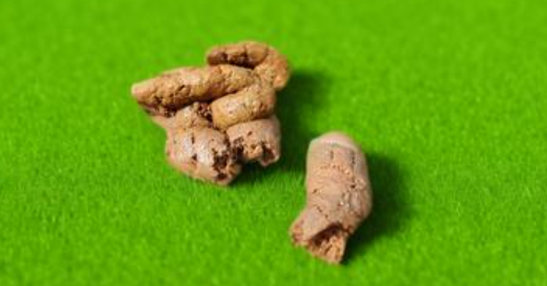 梦见狗屎是什么意思 梦见狗屎是什么意思