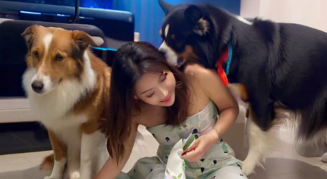 周公解梦梦见狗咬我 周公解梦梦见狗咬我