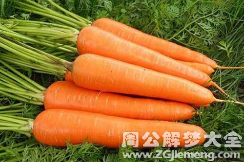 孕妇梦见胡萝卜 孕妇梦见胡萝卜