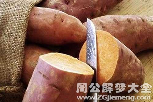 孕妇梦见吃地瓜 孕妇梦见吃地瓜