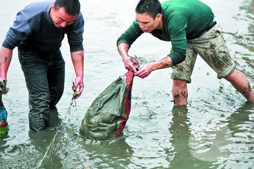 捞鱼 捞鱼