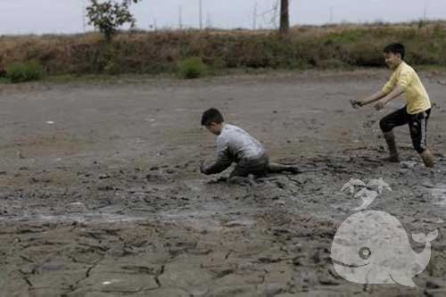 梦见活捉鱼 梦见活捉鱼