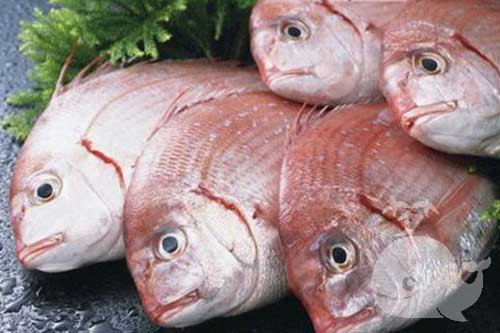 梦见吃到鱼 梦见吃到鱼