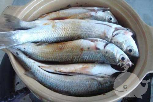 梦见一条臭鱼 梦见一条臭鱼