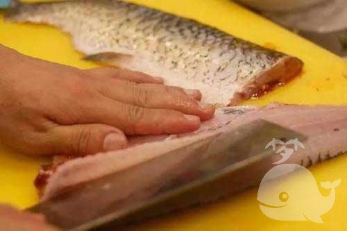 梦见杀鱼猫 梦见杀鱼猫