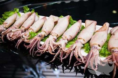 梦见乌贼鱼 梦见乌贼鱼