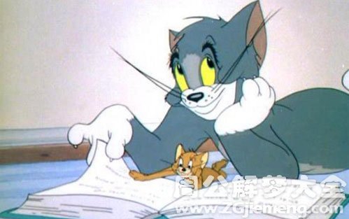 梦见猫和老鼠 梦见猫和老鼠