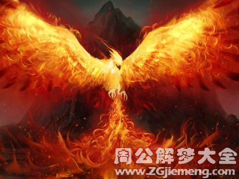 怀孕梦见火凤凰.jpg 怀孕梦见火凤凰.jpg